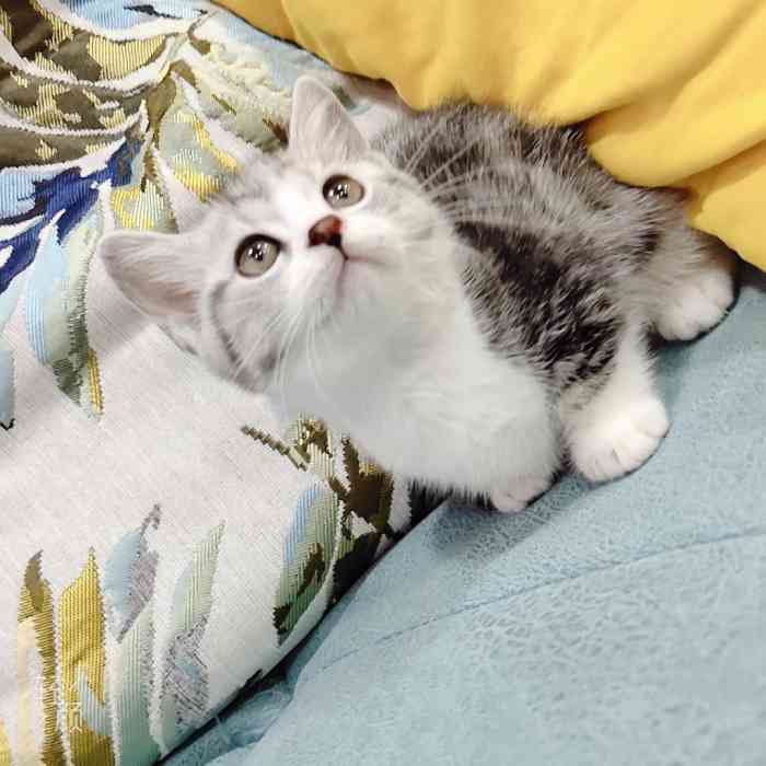 悠米宠物生活会馆-"【项目】洗澡 | 美容 | 食品用品店.