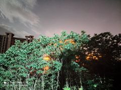 -国御温泉度假小镇