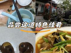 -呼吸森林·生态农庄农家乐私房菜