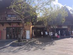 -海南槟榔谷黎苗文化旅游区