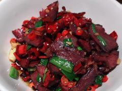 -聚鑫朋酸菜肥肠(文艺路口店)