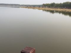 -西青郊野公园