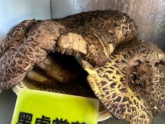 -菌海森林·非遗野生菌火锅(西山区滇池路摩根道店)