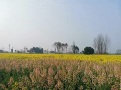 -中国天府农业博览园