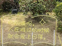 -成都欢乐谷