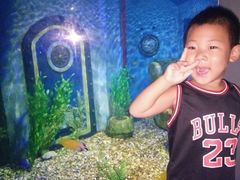 -北戴河圣蓝海洋公园