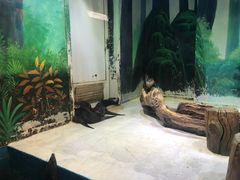 -华夏文旅西安度假区