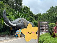 -野象谷景区
