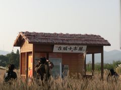 -良渚古城遗址公园