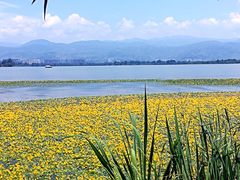 -西昌邛海湿地