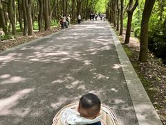 -同里国家湿地公园