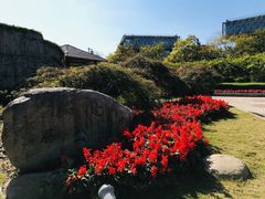 -嘉定紫藤园