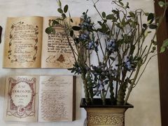 -春风·有糖(崇宁路店)