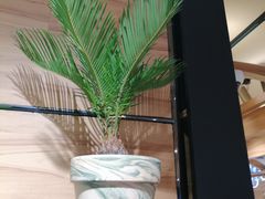 -远大购物中心(南岗店)