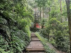 -青城山