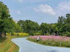 -春花秋色城市公园