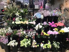 -ChaKo Flora ·茶子花艺 (市北店)