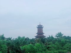 -厦门园林博览苑