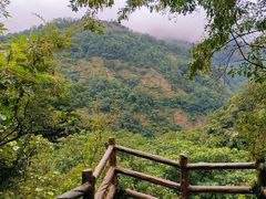 -雁荡山三折瀑景区