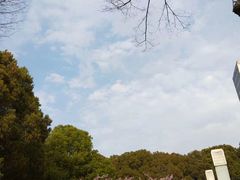 -尚贤河湿地
