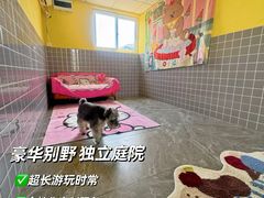 -趣玩宠物乐园寄养训犬训狗游泳池