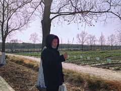 -嘉北郊野公园