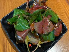 -望京一号(菜户营店)