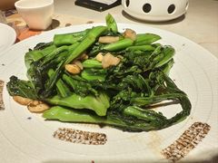 -点都德·毕德寮