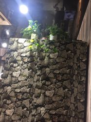 -Park Salon脏辫羽毛接发