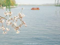 -苏堤停车场