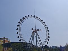 -杭州乐园