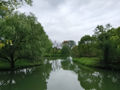 -西溪国家湿地公园