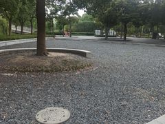 -南翔镇银翔湖公园