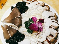 -清真军邺·金富苑肥牛(石坡街旗舰店)