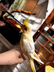 -Zoolung Zoolung动物主题公园(海信广场店)