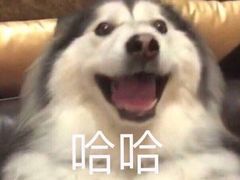 -BC烘焙伴手礼(新光天地店)