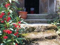 -杨家堂村