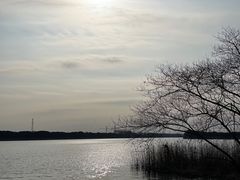 -太阳岛旅游度假区