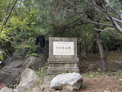 -白水寺森林公园