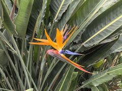 -南宫五洲植物乐园