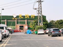 -石岐乳鸽村(南海第三分店)