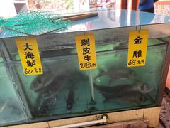 -寻味顺德·南记酒家·传统顺德菜·鱼生(广源路店)