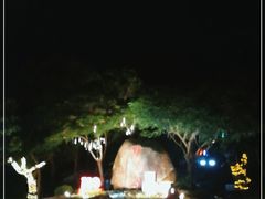 -野狸岛