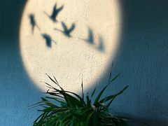 -水之梦(黄浦店)