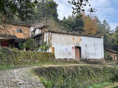 -杨家堂村