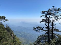 -瓦屋山景区