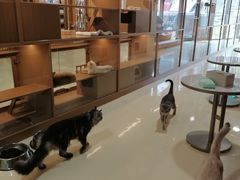 -永和大王(茉莉上新·共和新路店)