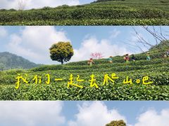 -十里琅珰
