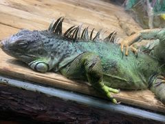 -石家庄市动物园