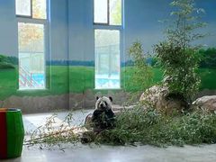 -临沂动植物园